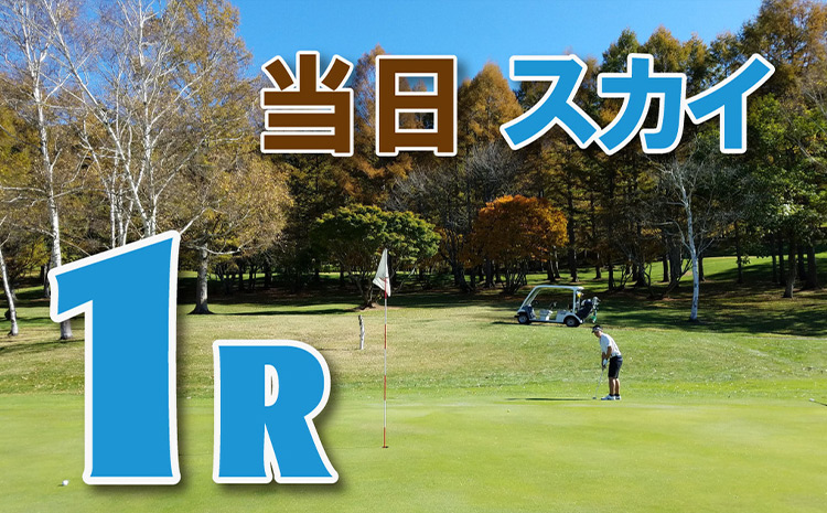 シーズン大感謝★ファイナルゴルフ【スカイ １R（ご宿泊当日）】