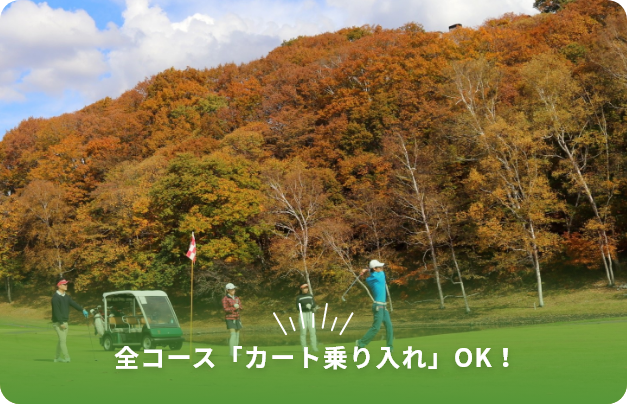全コースカート乗り入れOK