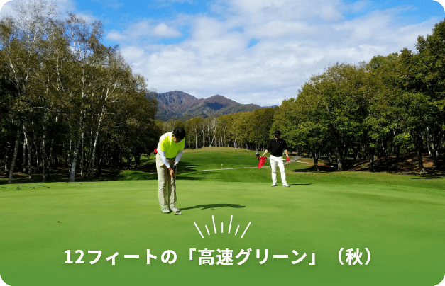 12フィートの「高速グリーン」(秋)
