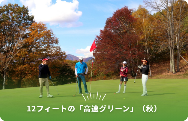 12フィートの「高速グリーン」(秋)