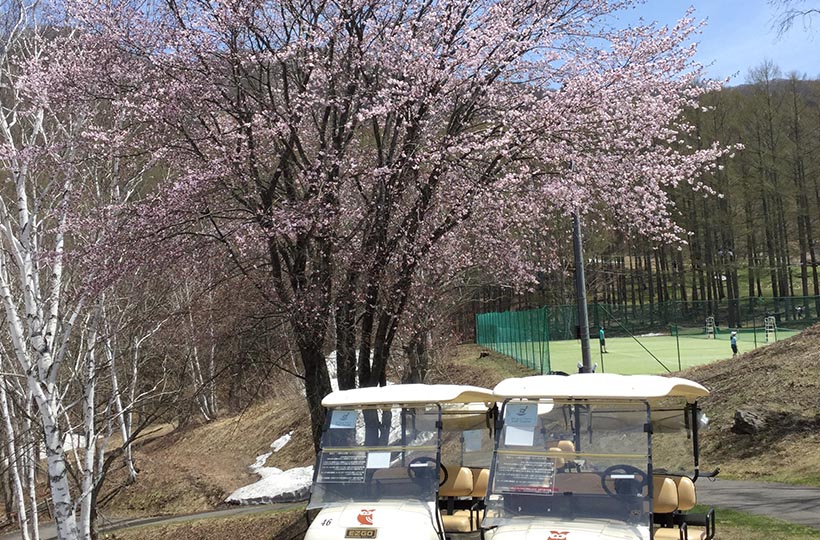 お待たせしました!5月6日(月)より、36ホール営業開始!